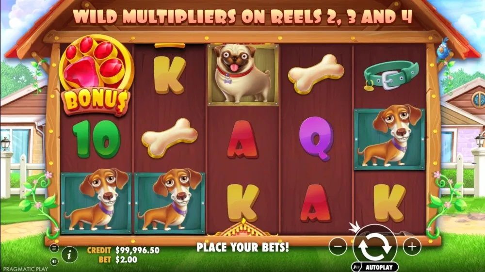slot the dog house